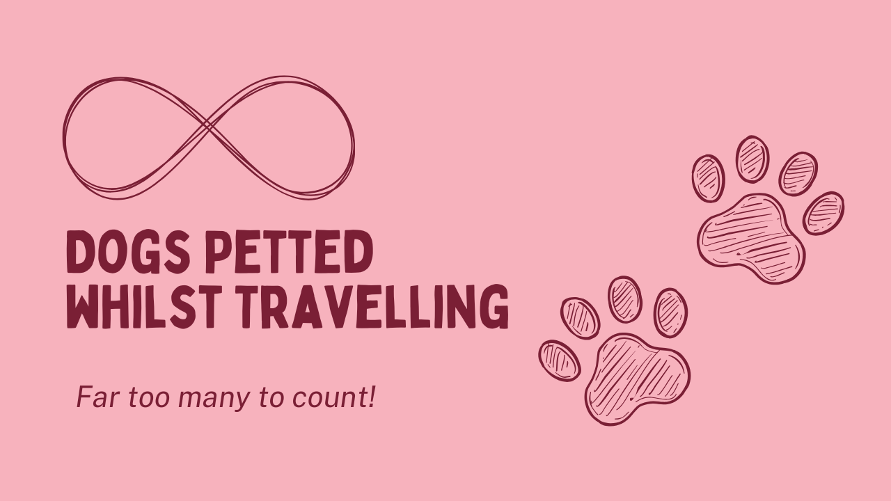 dogs-petted